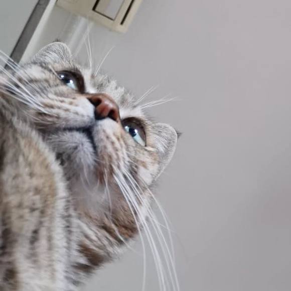 Meet your Posher, Alexis - Picture 1 of 1